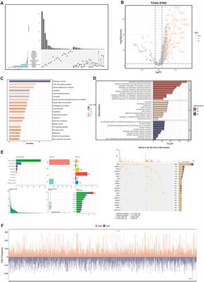 Unraveling the regulatory cell death pathways in gastric cancer: a multi-omics study